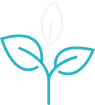 phytotherapie